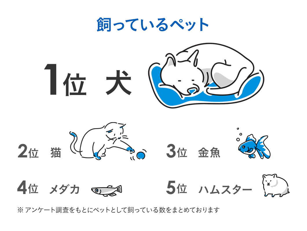 飼っているペット 1位犬、2位猫、3位金魚